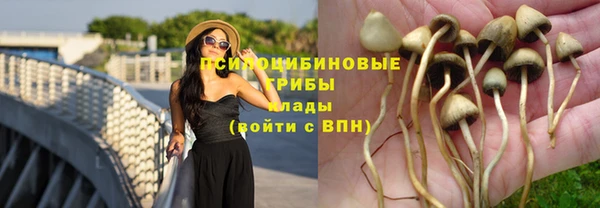 a pvp Киреевск