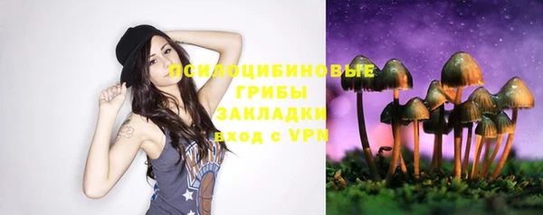 a pvp Киреевск