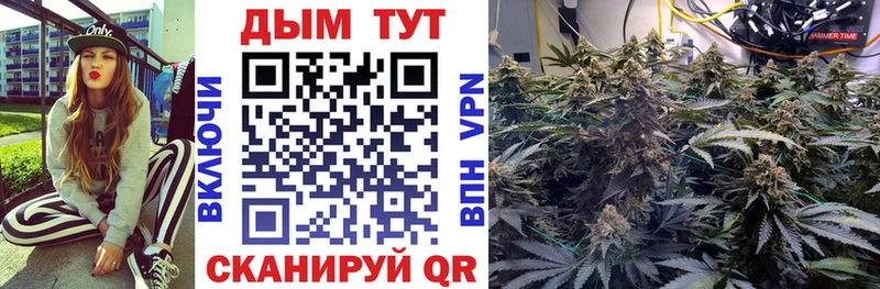 Марихуана ГИДРОПОН  Купить где  Балахна 